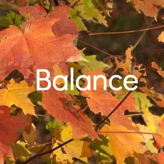 Autumn Leaves Balance